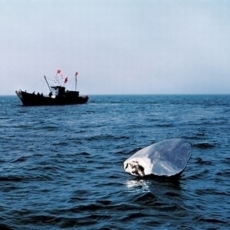 Beyond Twelve Nautical Miles—Floating Rock Drifts on the Open Sea, stainless steel,  180×90×160cm,  2000 12 nautical miles away Lingshan Island, Jiaonan, Shandong Province