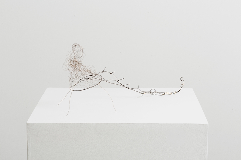 Alien,2020,wire, copper,28x63x23cm.jpg