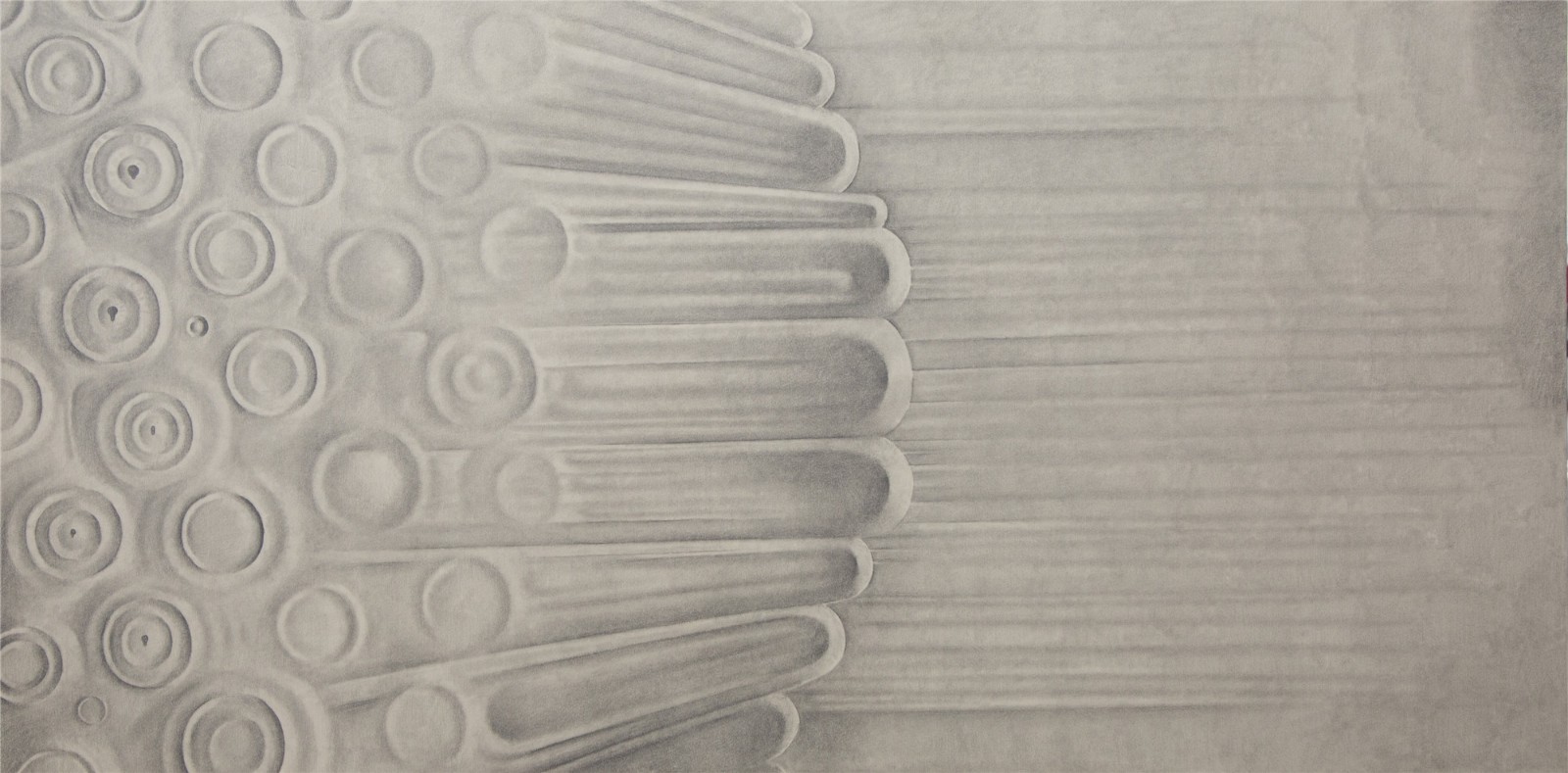 13《皮肤系列》，60 X 120cm，铝板素描，2010-3.jpg