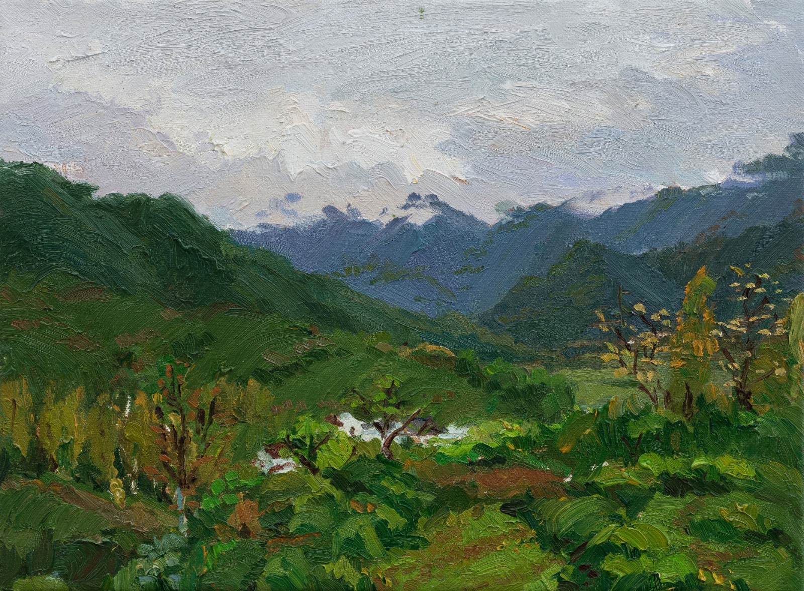 39 Liang Zongyao “Landscape”, 30×41cm, Oil on canvas, 2016, Instructor Zhang Lujiang.jpg