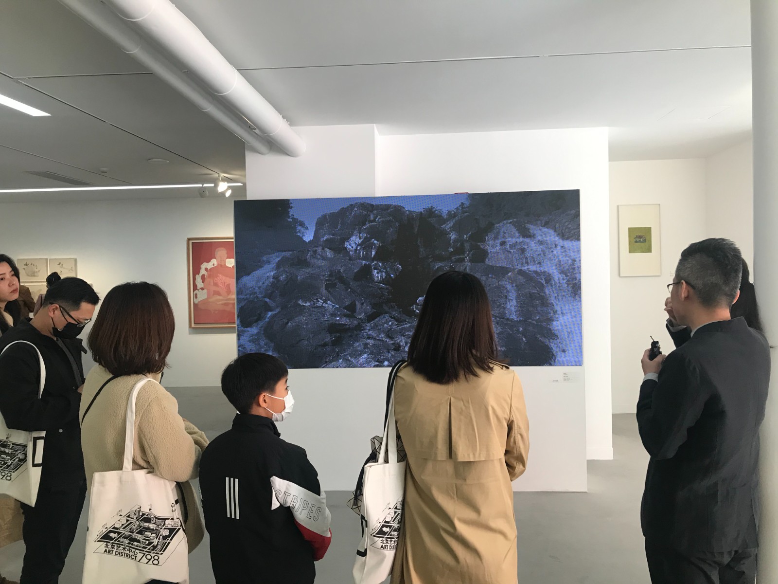 展览由北京大学社会学系博士后,青年艺术史学者,策展人丛涛担任策展