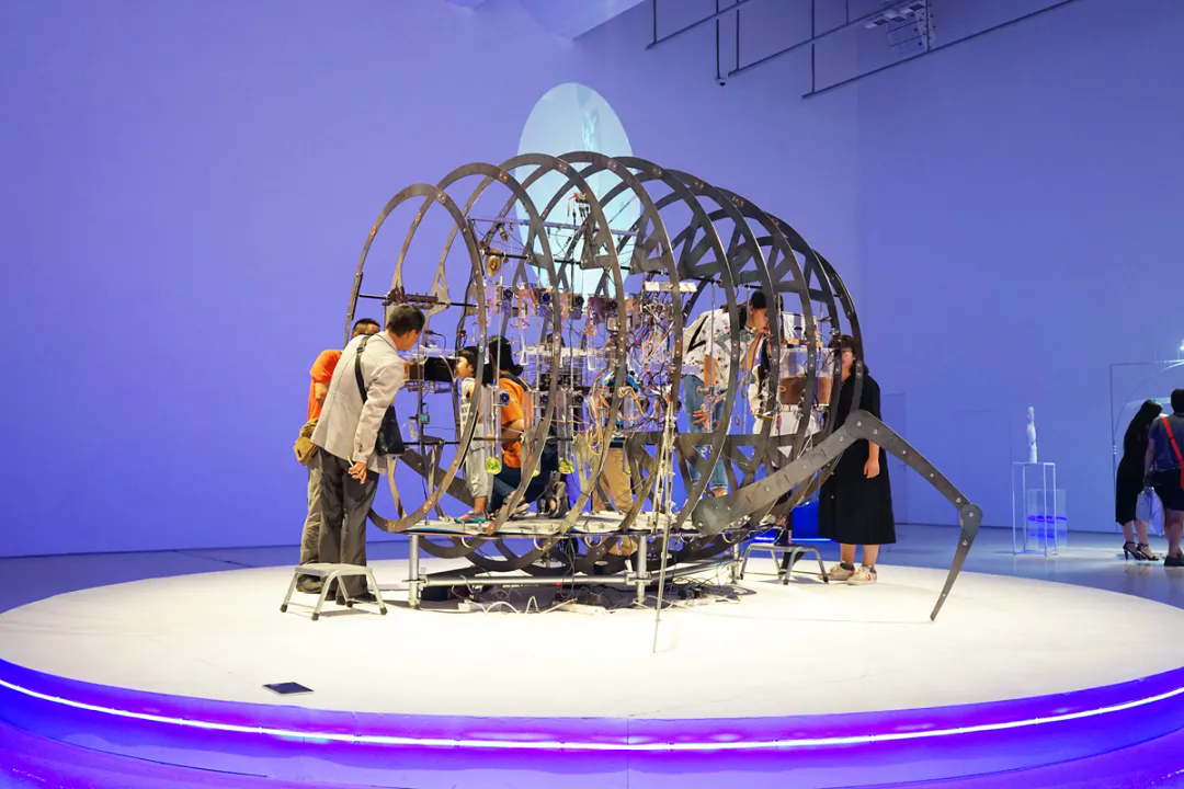 Su Yongjian, Insect Cabin, 2017, 350cm×240cm×280cm, insects, metal, glass, acrylic, electronic components, Collection of CAFA Art Museum.png