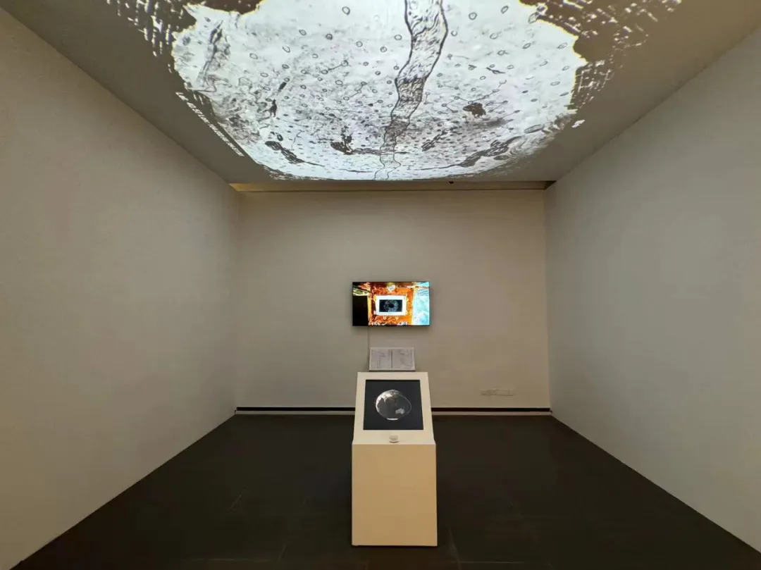 Zhang Wenchao, 90-minute View of the Universe, 2023 to present, 90-minute cycle, data set, interactive image installation, controller, satellite captured images; Courtesy of the Artist.png