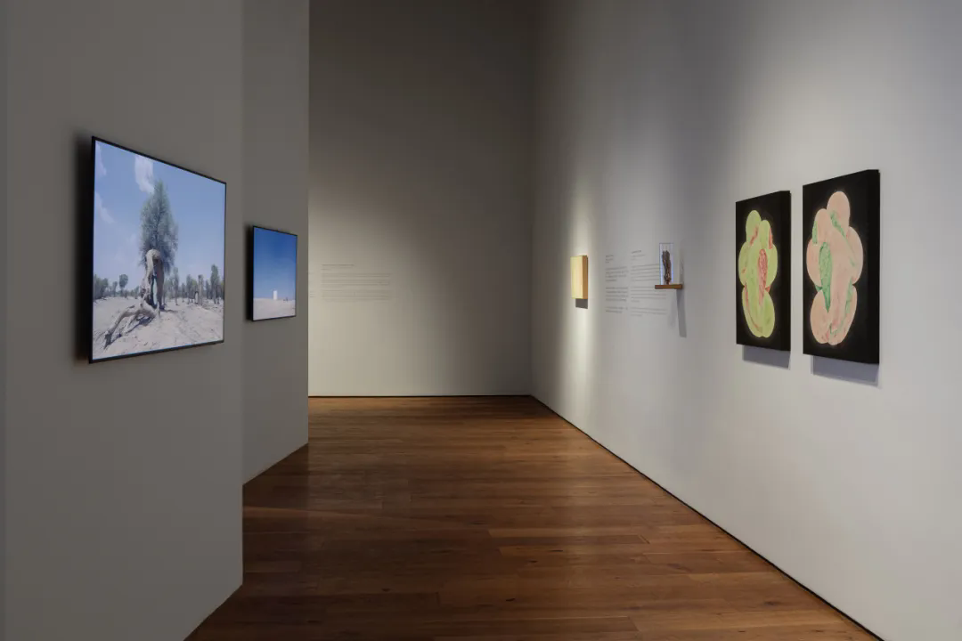 15 Installation View of “Observing My Distant Self Kang Chunhui”, 2024.5.25-8.18, INKstudio.png