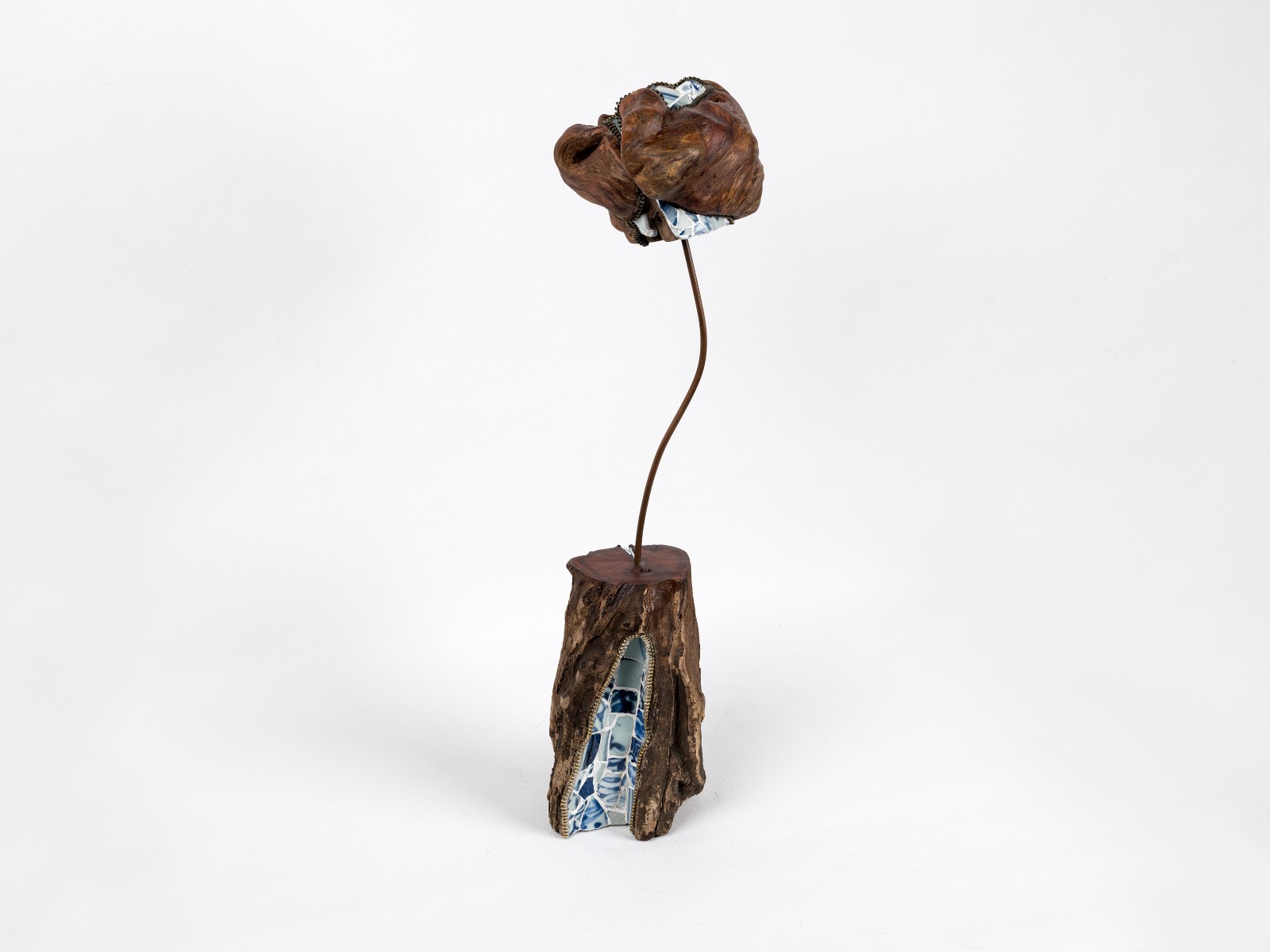 Reblossom No. 6, 2024; Ming blue and white porcelain, Pine tumour, Bronze, Yellow mountain Thuja, Metal zippers, 20×20×45cm.jpg