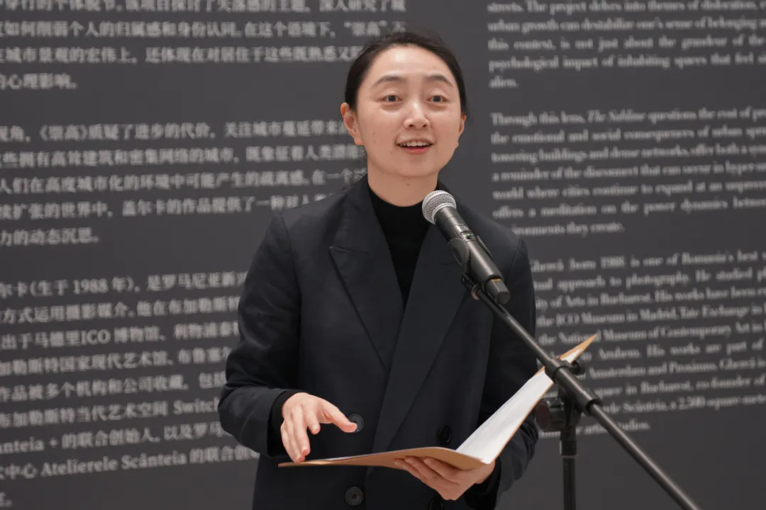 09 Gao Gao, Deputy Director of CAFA Art Museum.png