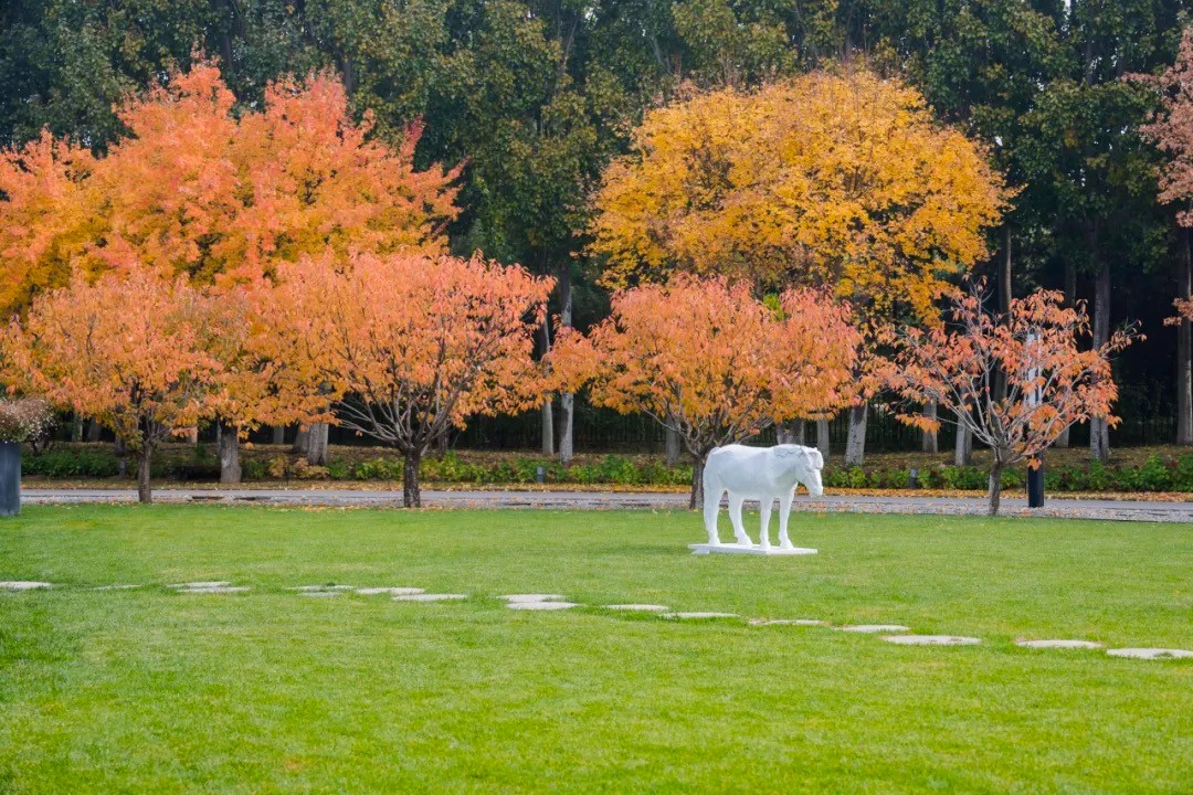 21 Su Xinping, “White Horse”, 211×52.5×104cm, Photosensitive resin, 2024.jpg